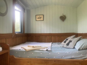 Отель Pyllauduon Luxury Shepherds Hut  Трегарон